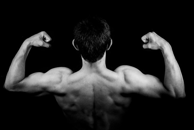 arms and back