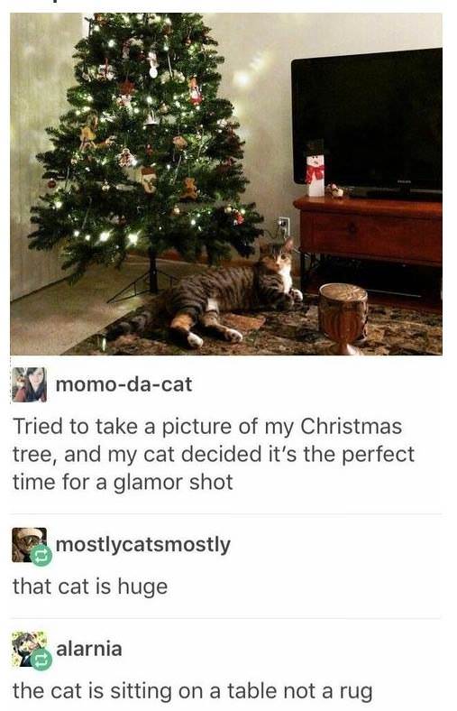 funny tumblr best of