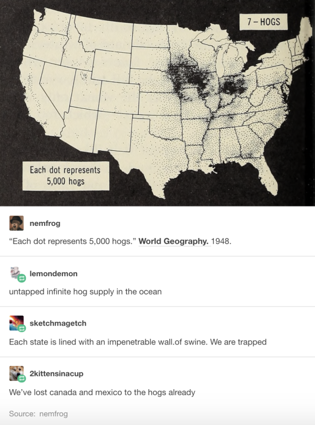 funny tumblr best of
