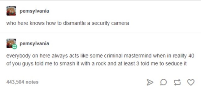 funny tumblr best of
