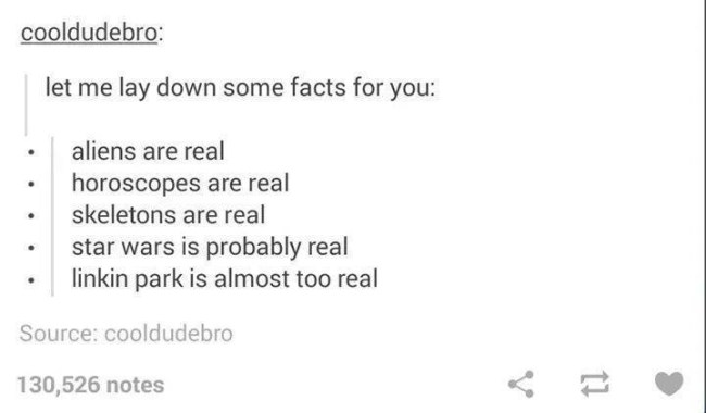 funny tumblr best of