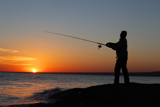Best Saltwater Fishing Rods