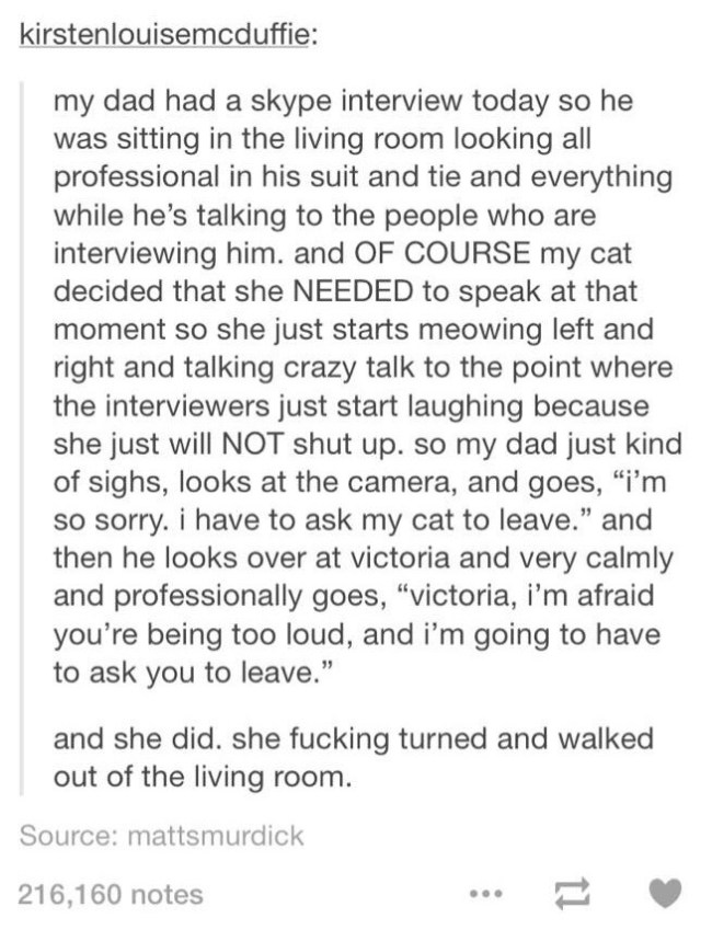 best of tumblr
