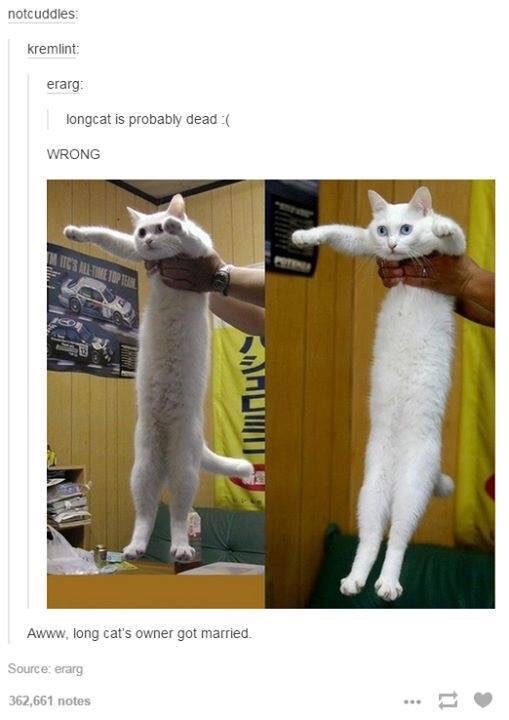 best of tumblr