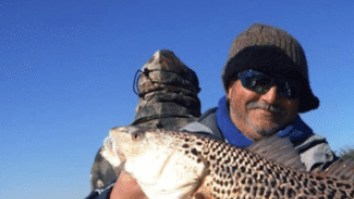 Extremely Rare ‘Leopard Redfish’ Caught In Louisiana With 670 Total Spots, Looks Like A Total Freak Of Nature