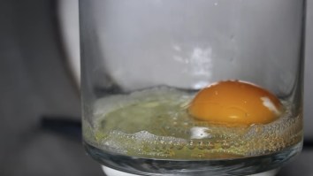 Dude Puts A Raw Egg Into A Vacuum Chamber And Suddenly I Feel Like I’m Tripping Balls