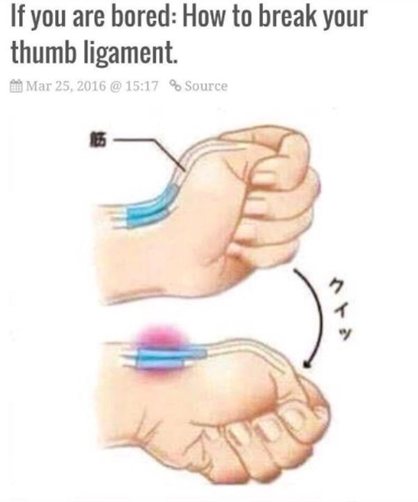 screen-shot-2017-01-10-at-10-05-24-am1