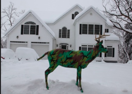 screen-shot-2017-01-18-at-1-29-44-pm