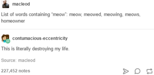 tumblr's best