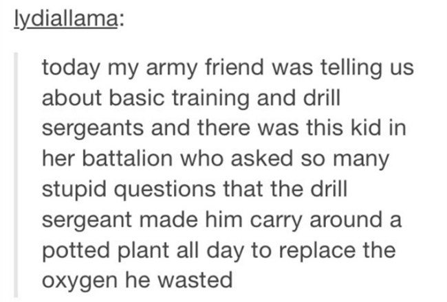tumblr's best