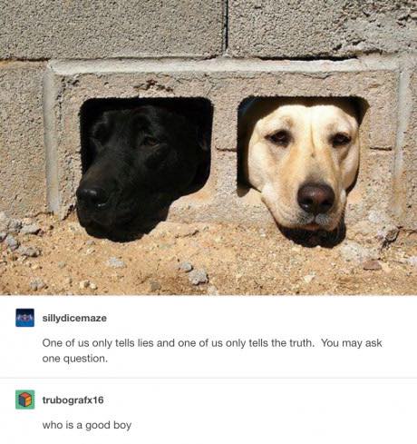 tumblr's best
