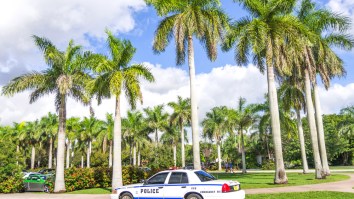 Florida Woman Gets Pulled Over For DUI And Tells Cop ‘Eat Me’ Before Things Got Weird AF