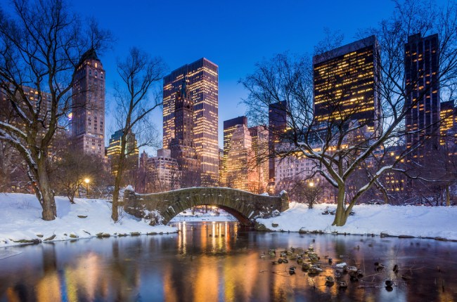 Central Park Winter