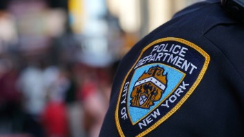 Cops And Criminals Share Stories Of The Most WTF Reason For Getting Arrested