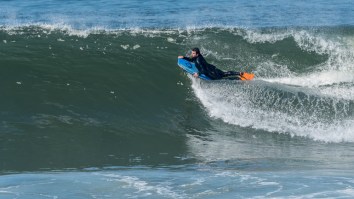 Bodyboarder Dies From Shark Attack After Some A-Hole Vandalized And Removed The Warning Signs