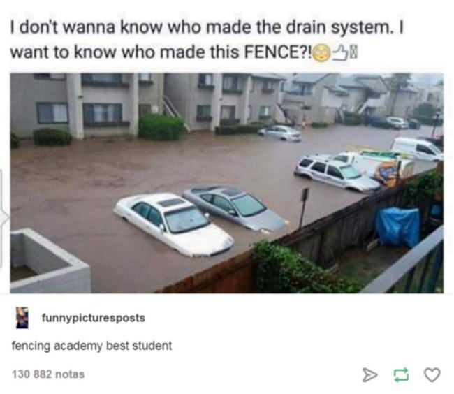 tumblr's best