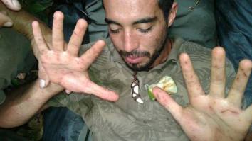 Monkeys Help Lost Man Survive In Amazon Rainforest For 9 Days