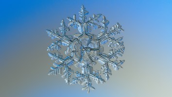 Company Requires Potential Employees To Take ‘Snowflake Test’ Before Hiring Them