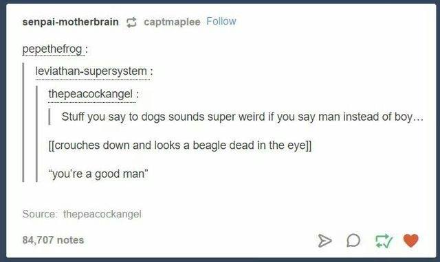 best of tumblr