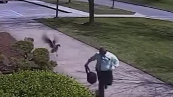 Wild Goose Attacks Police Officer And Sends Him Running Away In Fear