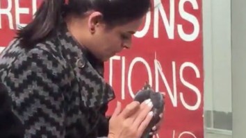 This Scottish Chick Trying To Resuscitate A Flying Rat Is Straight Out Of ‘Ace Ventura’