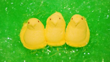 Man Sets World Record And Eats 255 Marshmallow Peeps In Competition