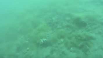 Scuba Diver Films Trippy Earthquake Underwater And This  Looks Like An Acid Flashback