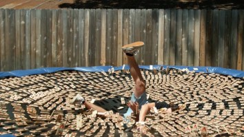 Dude Jumps Onto A Trampoline With 1,000 Mousetraps And Films The Madness In Slow-Mo HD