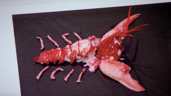 Gordon Ramsay Reveals The Secret To Getting Every Piece Of Delicious Meat From A Lobster