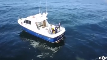 26-Year-Old Catches The Largest Sixgill Shark Ever Landed In Europe, A Whopping 1,500-Pounds