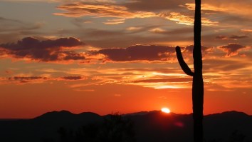 It’s So Scorching Hot In Arizona That Flights Are Canceled Because Planes Can’t Fly In The Heat