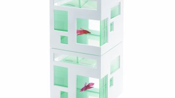 This Stackable Aquarium Is A Hotel For Fish Because Why Just Spoil Dogs And Cats?