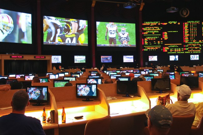 sports betting
