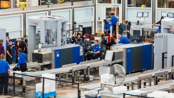 TSA Finds Living Alien Inside Of Checked Luggage, A 20-Pound Lobster Going Through Security