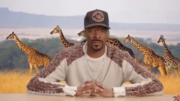 Snoop Dogg’s Cannabis VC Fund; Vice Finds New CEO; VW Amps Up Its Electric Vehicle Game