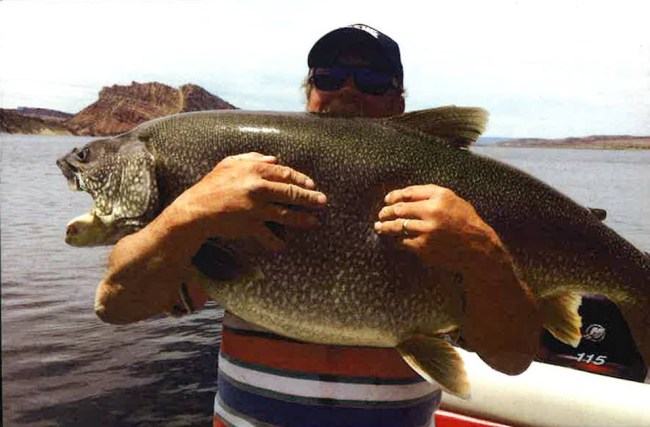 57-pound Lake Trout Record Utah