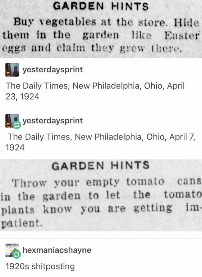 tumblr's best
