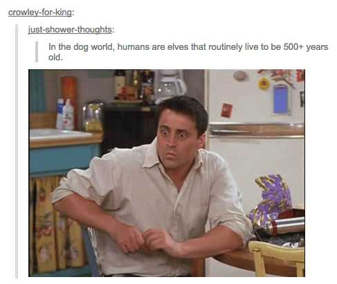 tumblr's best