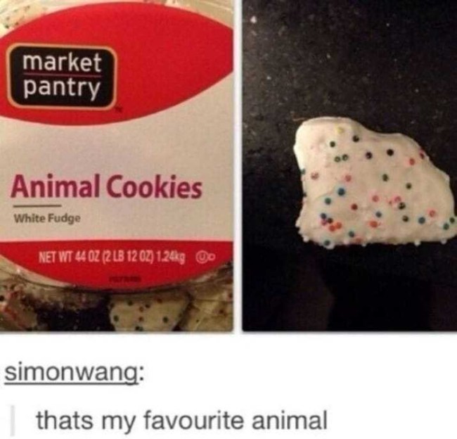 tumblr's best