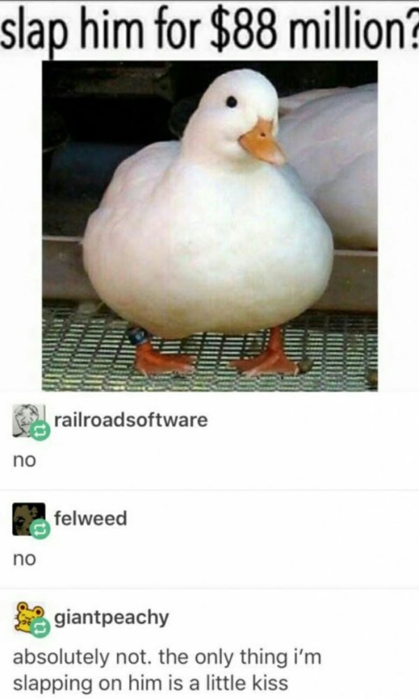 best of tumblr