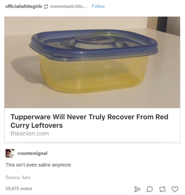 tumblr's best