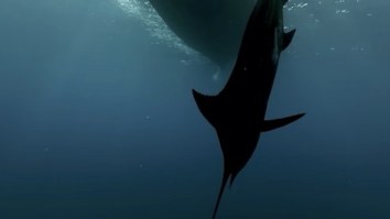 Bro Named Carter Andrews Is Living The Dream, And He’s Proof That Costa Rica Is The Fishing Mecca