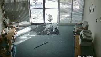 Animals Are Jerks: Goat Breaks Into Colorado Office By Smashing In Glass Doors With His Horns