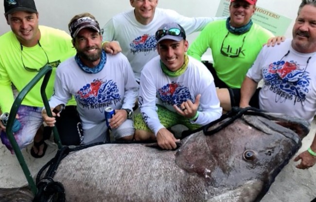 Grouper spearfishing world record 409-pound warsaw grouper