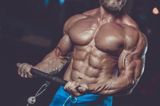 bodybuilding bodybuilder