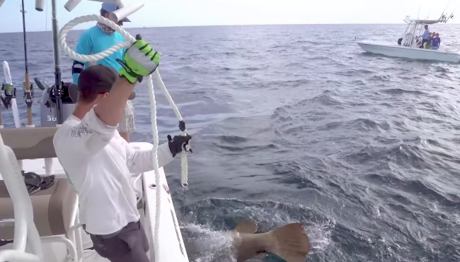 handline grouper fishing