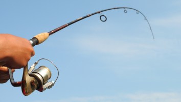 Winnipeg Jets Players Catch MONSTER 600+ Pound River Monster On Canada’s Fraser River