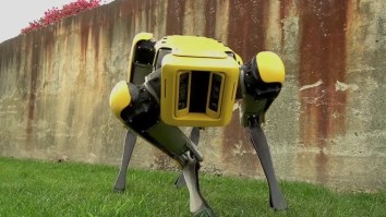 Boston Dynamics Robots Have Figured Out How To Work Together And I Guess Humanity Had A Pretty Good Run