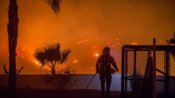 Astronauts And NASA Have Been Sharing Photos From Space Showing The Immensity Of The California Wildfires