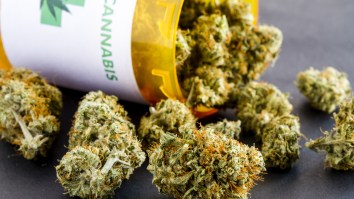 These 7 States Are Most Likely To Legalize Marijuana In 2018